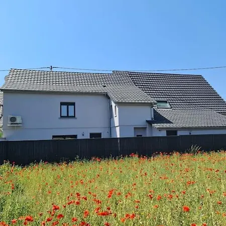 Relais Duplex A 5 Minutes Du Centre De Colmar Апартаменты